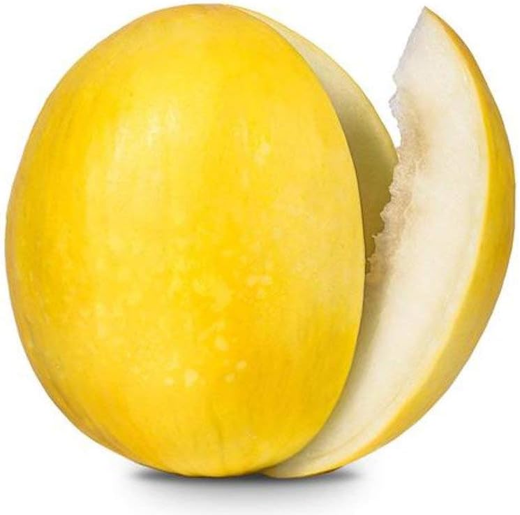 Yellow Cantaloupe Cucumis melo seeds for planting in home garden